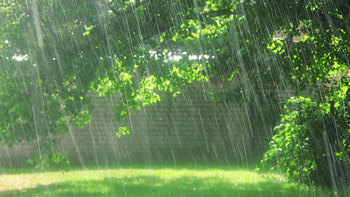 rain-on-a-sunny-day.jpg